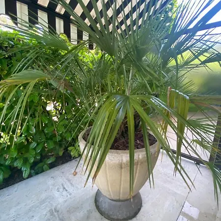 Un Coin De Paradis Apartmán *